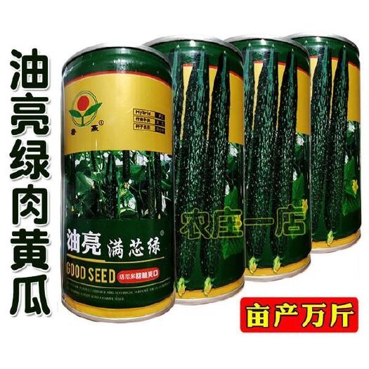 沭阳县 油量满芯绿黄瓜种子