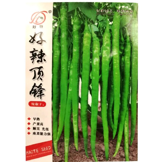 湘乡市辣椒种子 早熟长线椒种子 皮薄味辣采收期长春秋播种