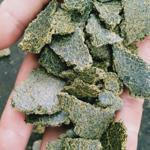 汉寿县菜籽饼饲料