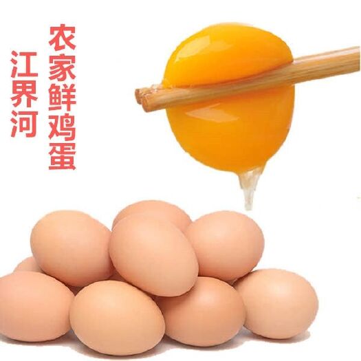 瓮安县粉蛋 江界河土鸡蛋