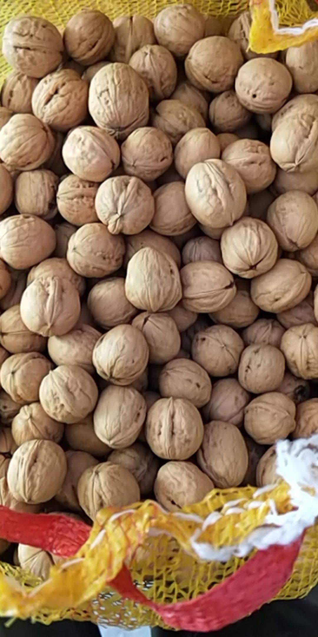  黄龙香玲核桃，皮薄，山区油大，口感好，非常香！