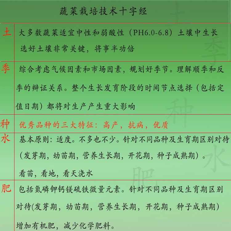 辣椒種子 早熟長線椒種子 皮薄味辣采收期長春秋播種