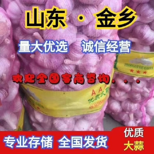 金乡县太空蒜  大蒜，金乡红皮大蒜。一手货源，质量好价格低