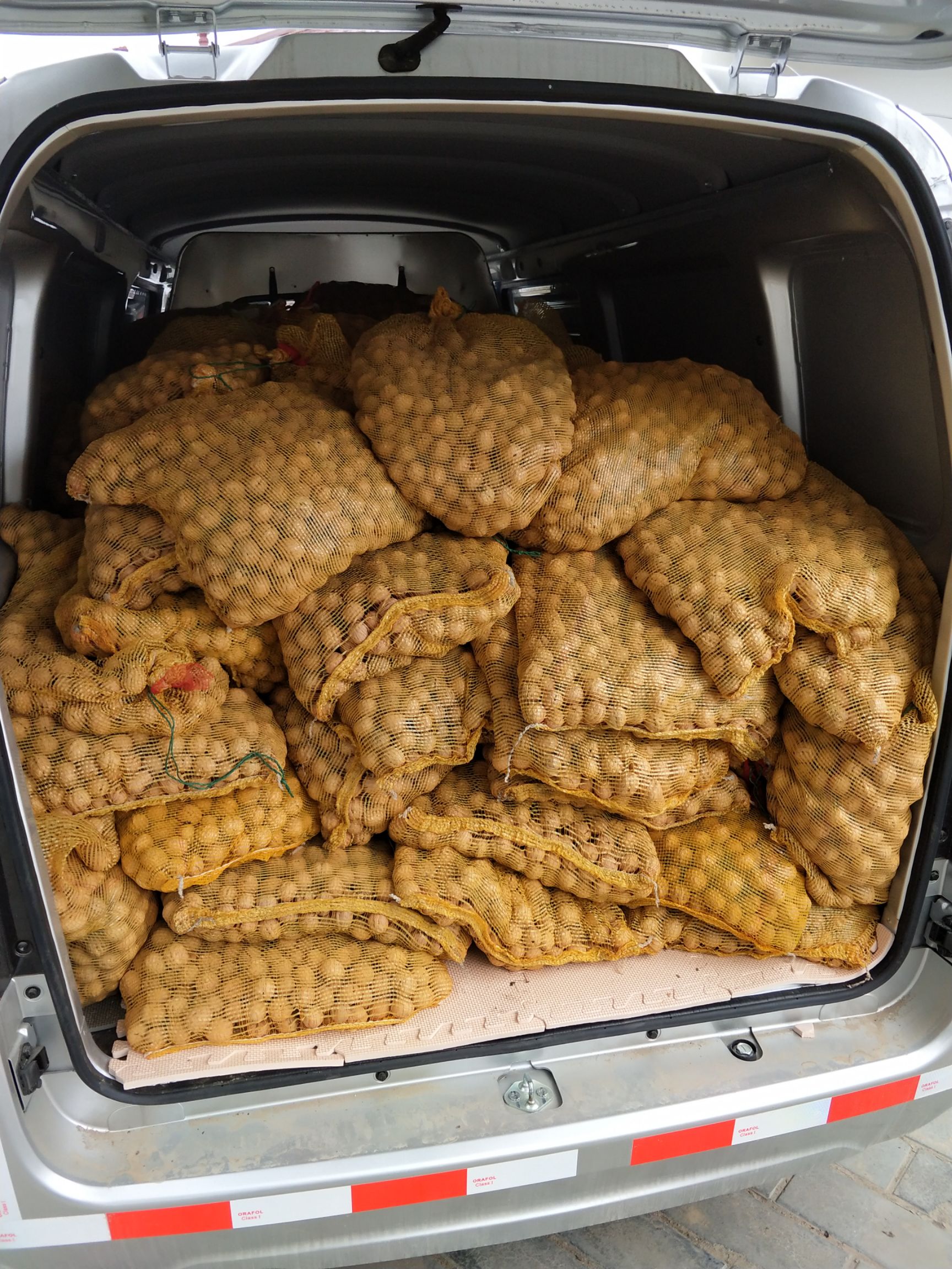  黄龙香玲核桃，皮薄，山区油大，口感好，非常香！