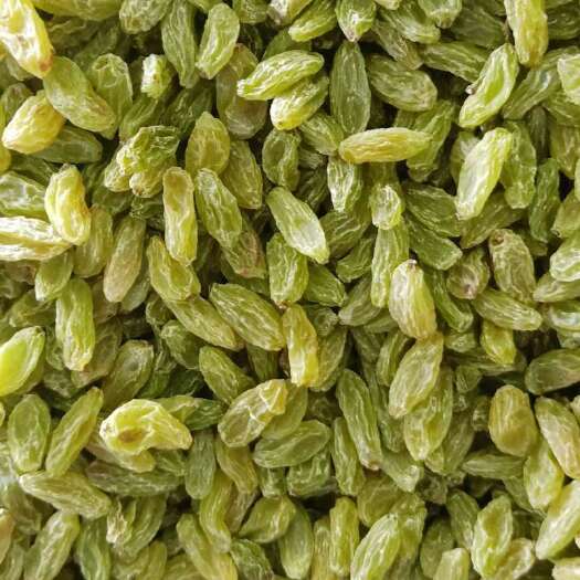 鄯善县无核白葡萄干  葡萄干 一级 二级 颗粒大