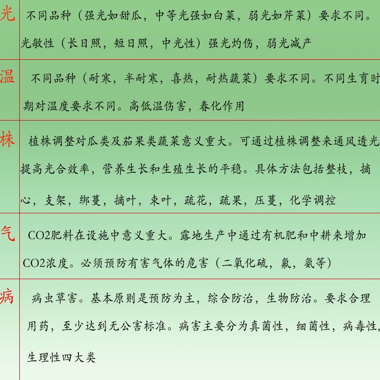 辣椒種子 早熟長線椒種子 皮薄味辣采收期長春秋播種