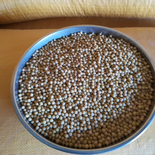 宝清县小粒黄豆 韩国芽豆中粒