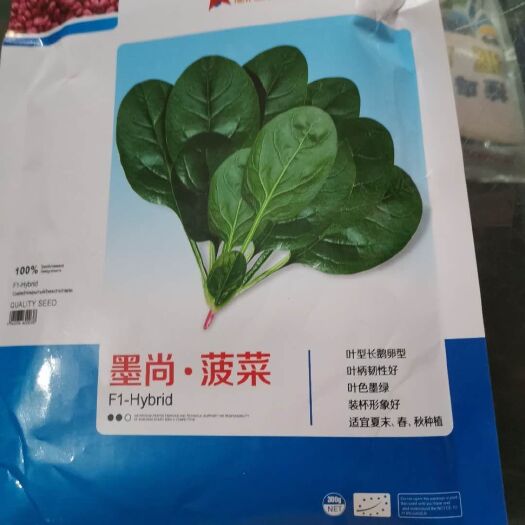 夏邑县越冬菠菜种子 墨尚 （菠菜） 越冬专用 韧性好 叶色墨绿 高档装杯专用