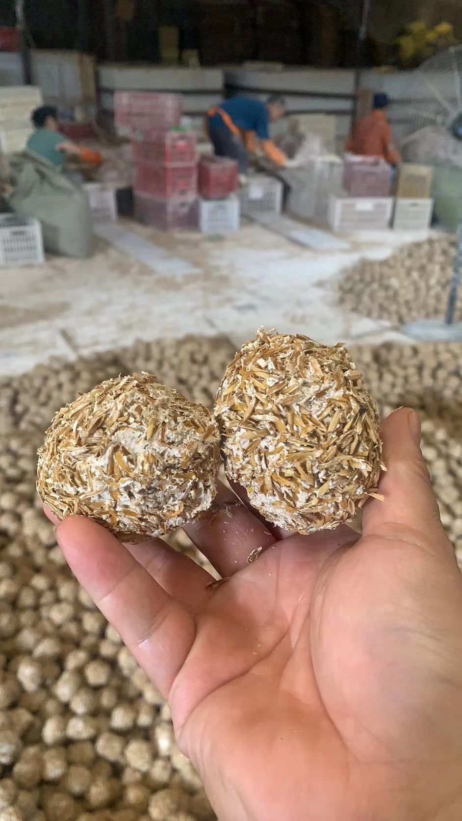 松花皮蛋
