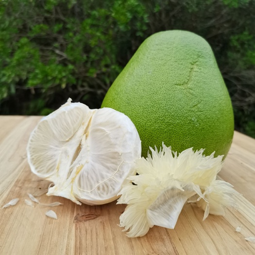 宜春江西金兰柚安福柚子果园直接发货，现摘现发，欢迎各大商家采购！