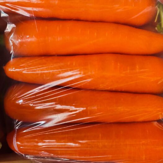 开封三红胡萝卜 精品水洗胡萝卜，精品大头，6－9俩，无青头，加工厂专用