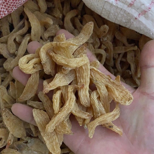 文山市黄天麻  天麻