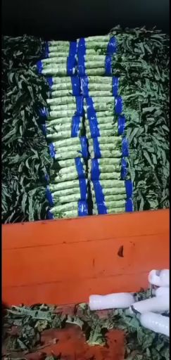 郯城县山东 精品红叶莴笋大量供应 支持各种包装 地头订货