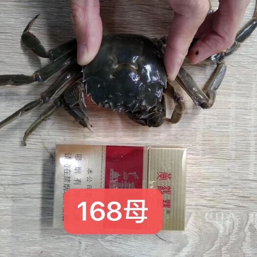 潜江市洪湖市大闸蟹 精品大闸蟹，