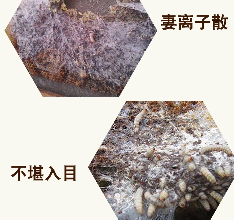 巢虫清巢虫灵蜜蜂巢虫清木片中蜂棉虫药巢虫净棉虫绝包邮
