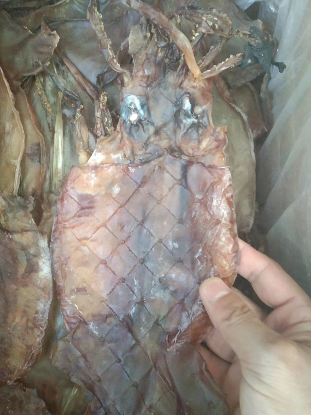 鱿鱼干  鱿鱼秘鲁水发鱿鱼厂家直销新上市欢迎选购