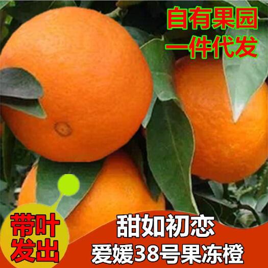 眉山爱媛果冻橙四川眉山爱媛38号果冻橙皮薄汁多手剥桔子柑橘批发