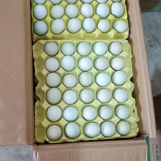 惠水县贵州省长顺县，新鲜优质精品绿壳鸡蛋。360个净重33.5斤