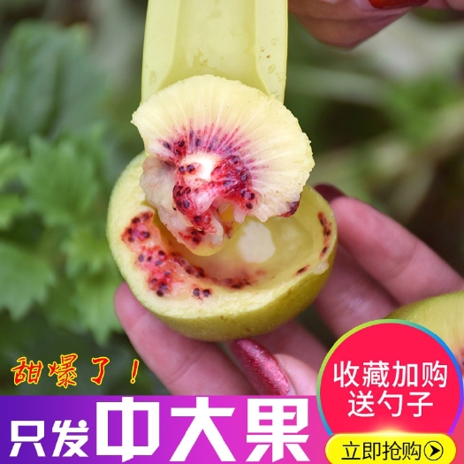 岳池县红心猕猴桃大果新鲜水果当季5斤整箱包邮孕妇泥猴狝弥猴桃奇异果