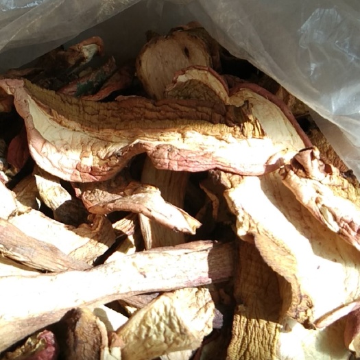 东丰县红乳牛肝菌  妈妈大山里采的牛肝菌，纯野生的，数量不多，欢迎选购