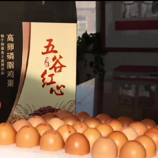 凤城市高卵磷脂鸡蛋  富硒生态养殖，低胆固醇，无抗生素，无农残！