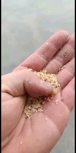 濮阳糠麸饲料 牛羊，鸡鸭鹅料