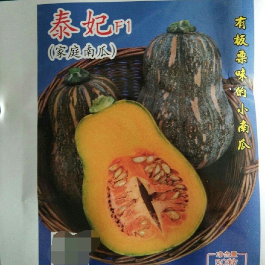 厦门蜜本南瓜种子  泰妃南瓜种子     南瓜中的（贵族） 家庭农场的（掌中宝）