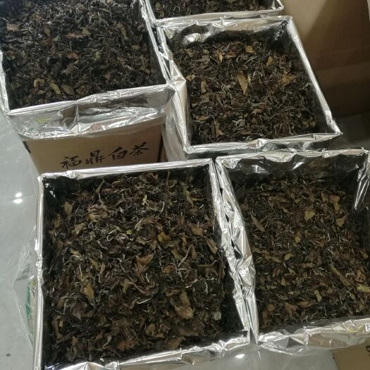 福安市 福鼎白茶，2016年贡眉散茶 老白茶