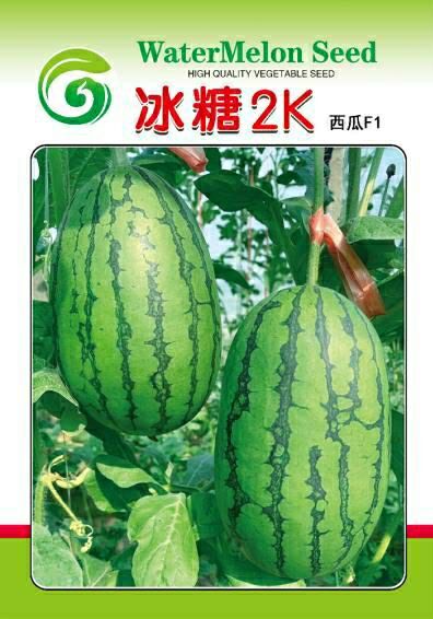 青州市冰糖麒麟王西瓜种子 日本引进硬肉干沙瓤礼品西瓜，口感酥甜，风味好。