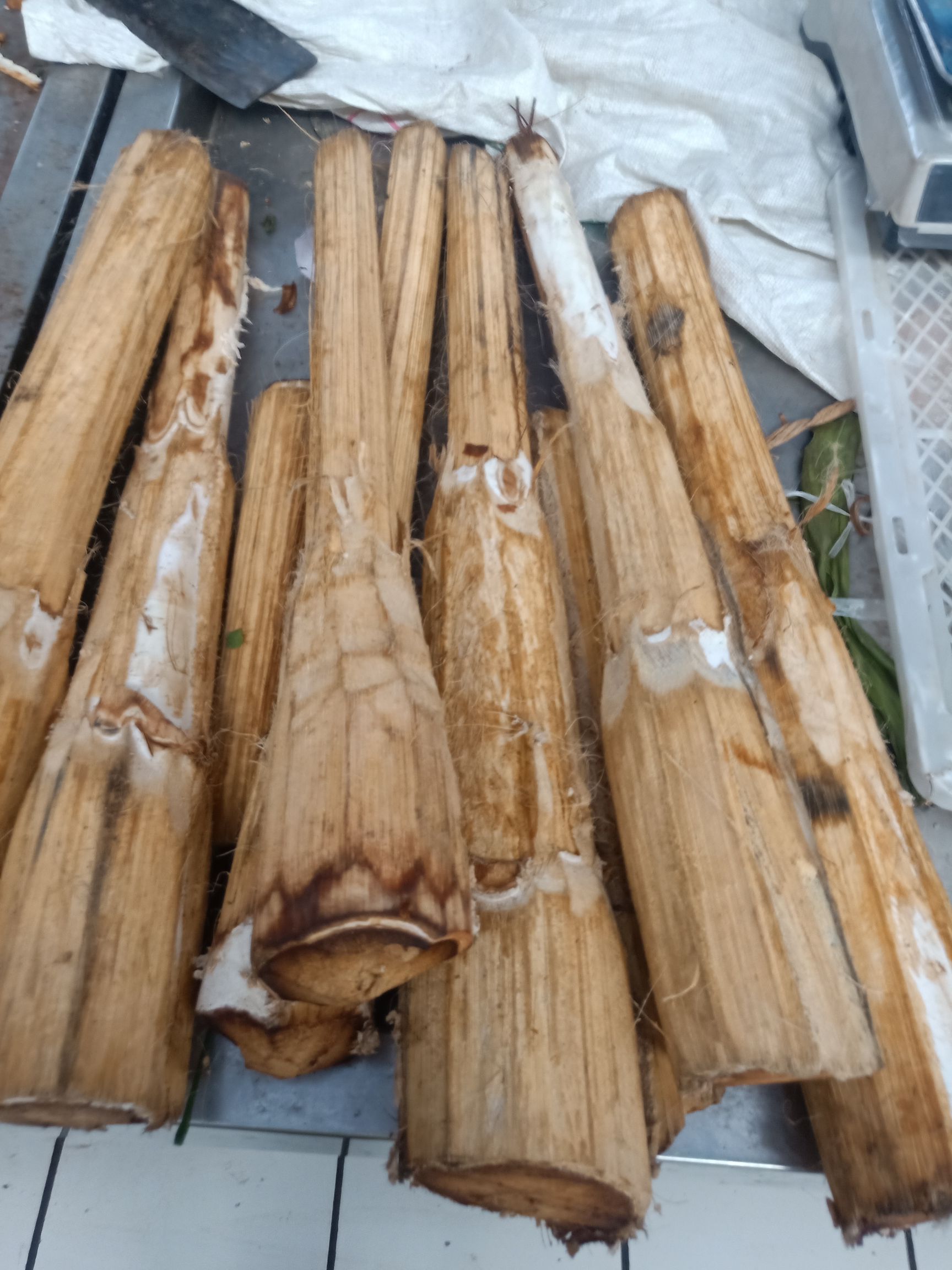 棕包  云南普洱大山里的棕心