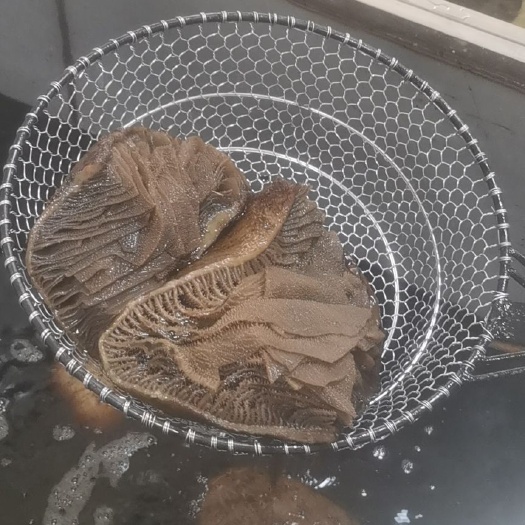 成都毛肚  黑个子茶色