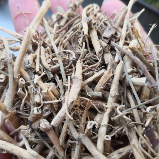 白前 干货 量大从优