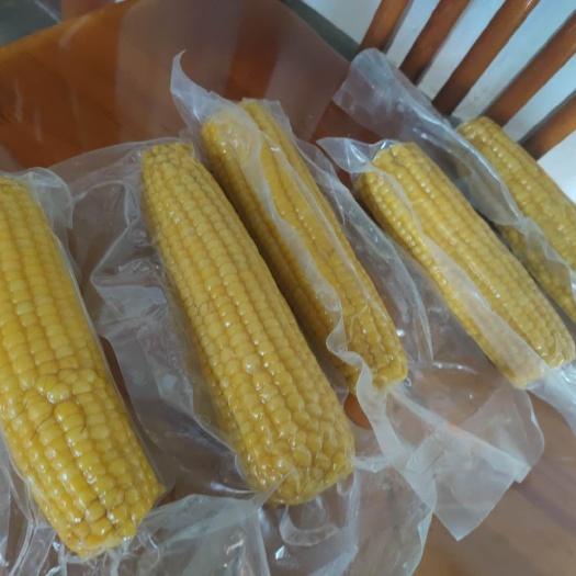 速冻糯玉米  绿色食品，香甜粘糯，人工筛选，高压灭菌