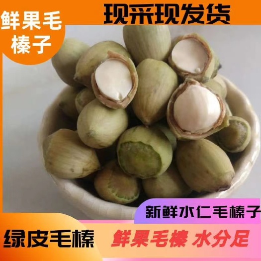 滦平县榛子  毛榛批发零售