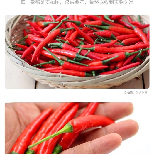嘉祥县艳红辣椒 现摘，量大，直供