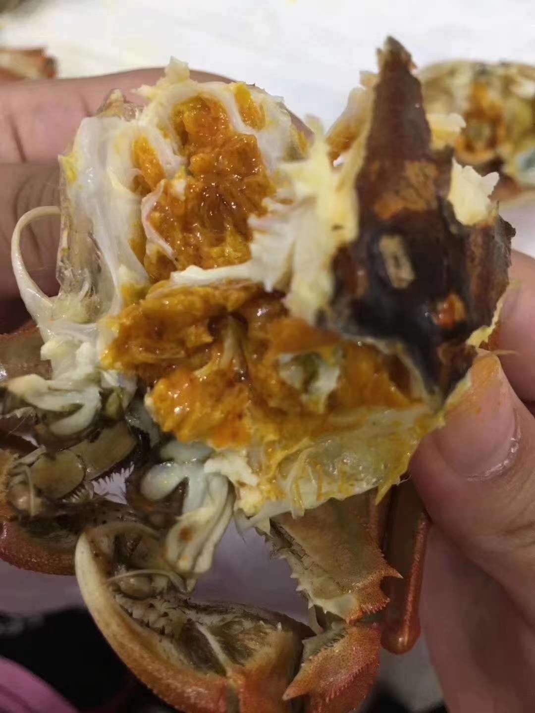 大闸蟹  老头蟹，一元蟹，，农场直供，香辣蟹原料