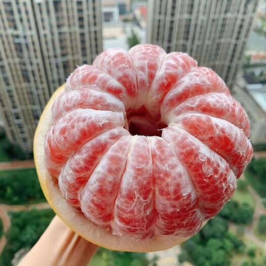 兴宁市三红蜜柚 