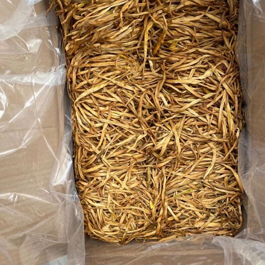 滕州市大荔黄花菜  条形好，肉多，干度好，颜色好看