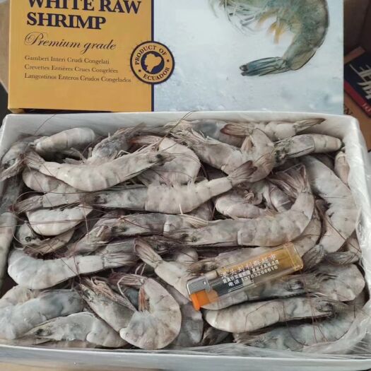 冻南美白对虾  海虾