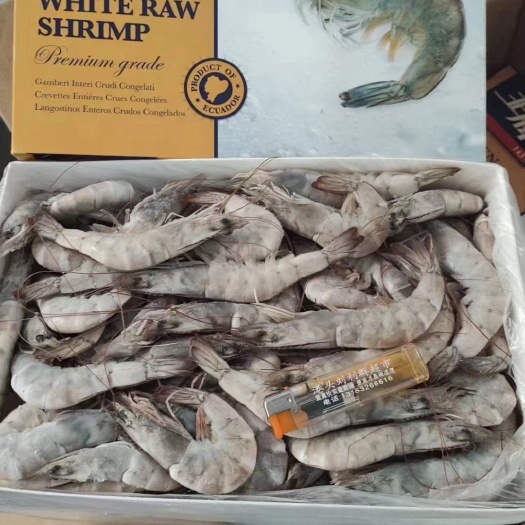 上海冻南美白对虾  海虾