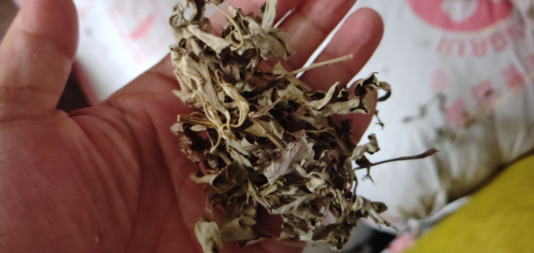 艾草  大别山-生艾叶