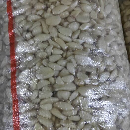 兰陵县机器四六瓣小个头蒜米，价格便宜，质量好
