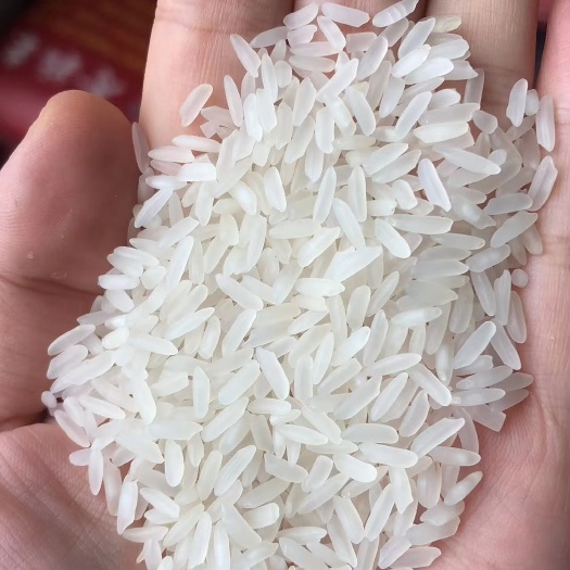 佛山丰两优大米  香粘米，