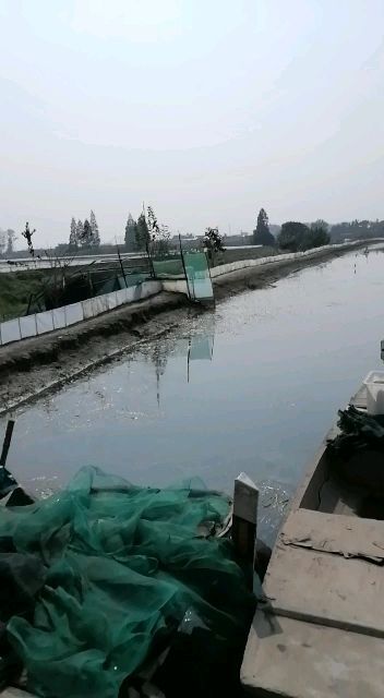 兴化市兴化大闸蟹 大闸蟹直供价销售，直接供货，没有中间商