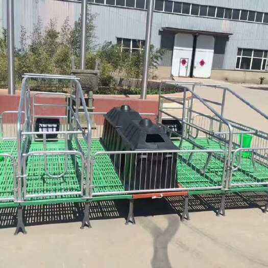南皮县母猪产床 养猪设备