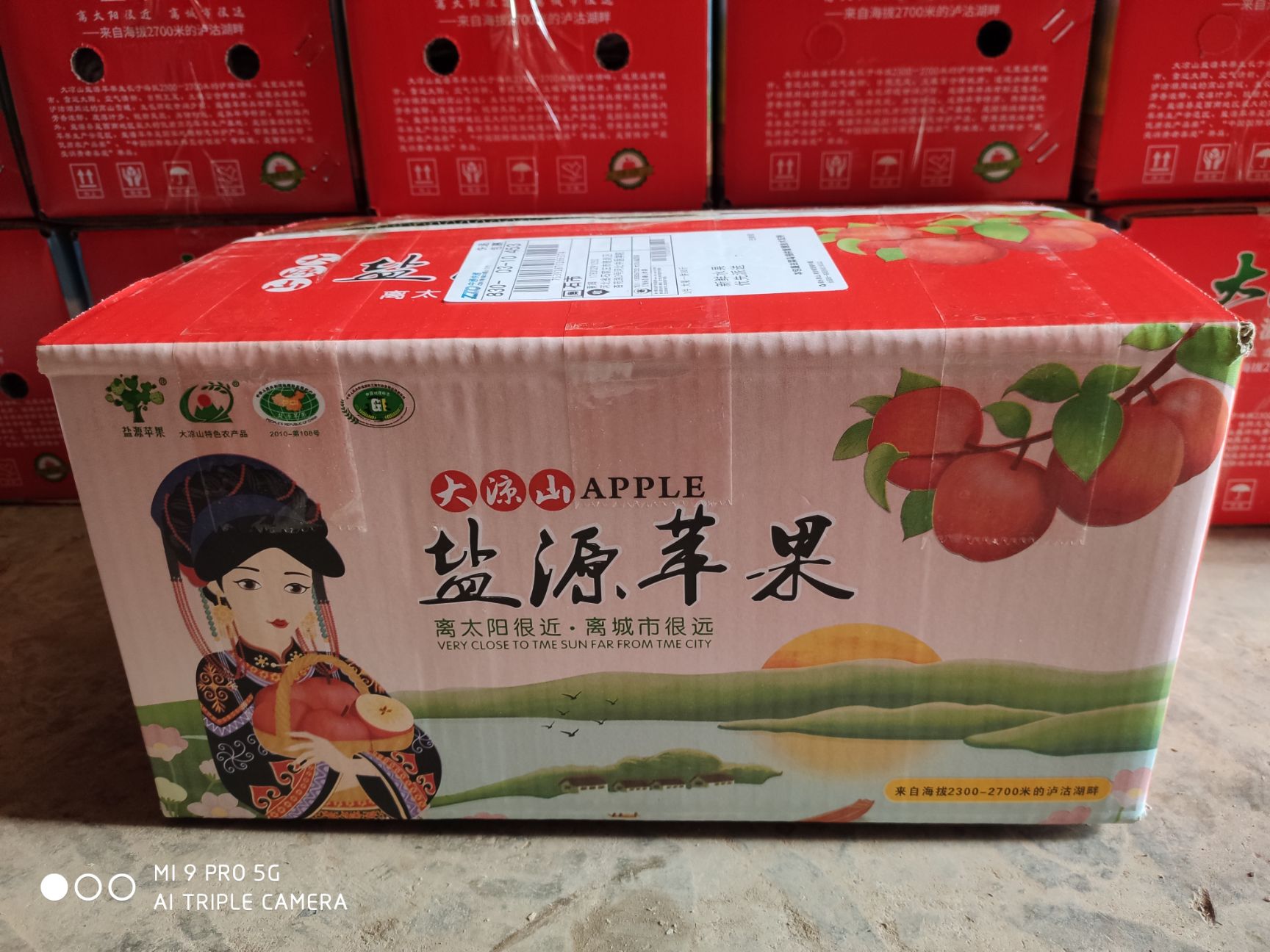 盐源苹果 大凉山盐源糖心丑苹果，可长期供应