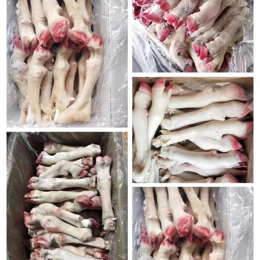 郑州羊蹄白羊蹄大蹄，中蹄，小蹄
