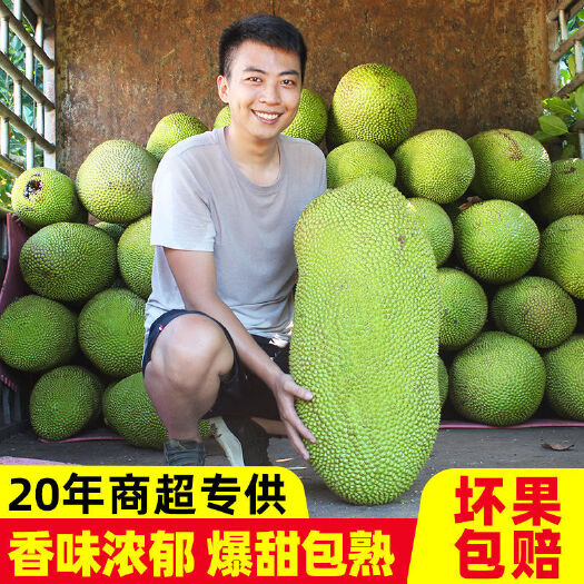 海口【助农促销】海南菠萝蜜果园直发一件代发非红肉微电商供货批发