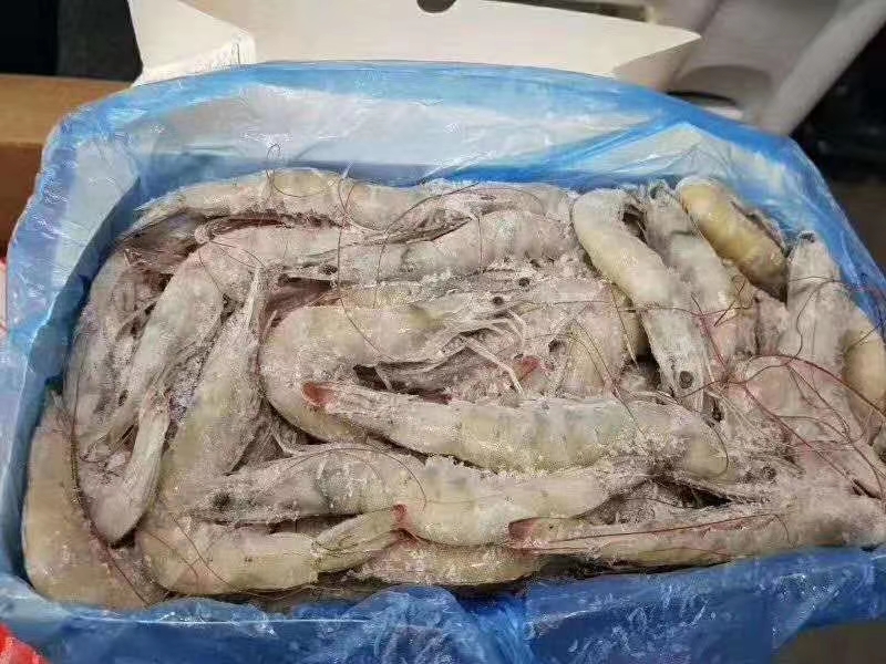 冻南美白对虾  欧玛莎水冻白对虾全规格
