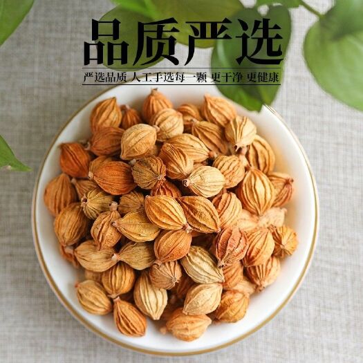 泸县春砂仁  香砂仁干果非粉末香春砂香料批发产地直销量大从优